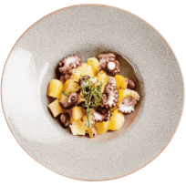 Salata od krakova hobotnice